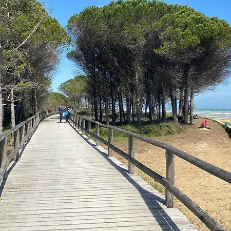 Homely Flat For 5, In A Area In * Bibione