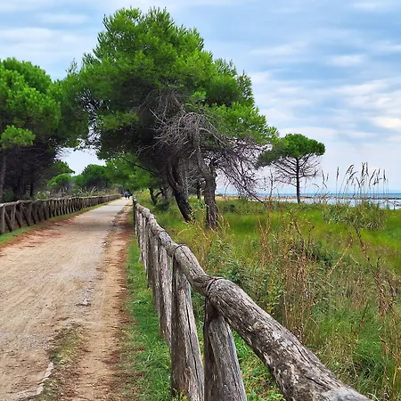 Quiet Retreat In Pineda * Бибионе